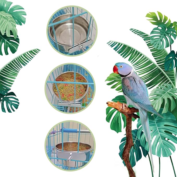 PINVNBY 6 Pieces Stainless Steel Bird Feeding Dish Cups,Parrot Feeder Parakeet Food Water Bowls with Clamp Holder & 6 Pcs Bird Spoon & 6 Pcs Birds Ball Toys for Budgies Macaw Small Animal(M)