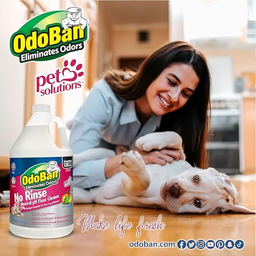 OdoBan Pet Solutions No Rinse Neutral pH Floor Cleaner Concentrate, Made in the USA, Splash O' Citrus Scent, 4 Gallons