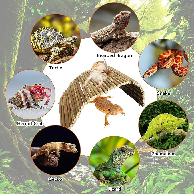 BNOSDM Large Reptile Hide Tortoise Hideout Bearded Dragon Wooden Bridge Snake Climbing Tunnel Habitat Decor for Lizards Spiders Gecko Ball Python