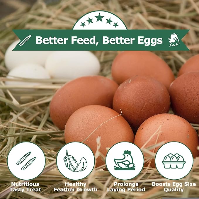 Dried Black Soldier Fly Larvae for Chickens - Non-GMO Poultry Feed Supplement, 85X More Calcium Than Mealworms,High-Protein Treats for Chickens, Hens, Ducks 1LB