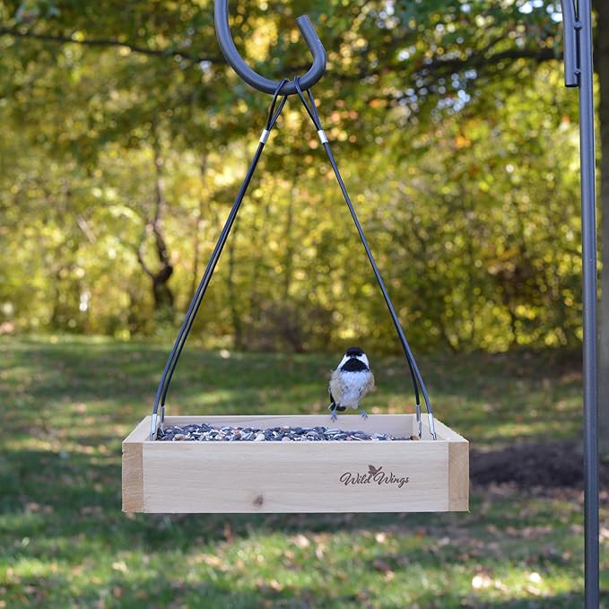 Wild Wings Cedar Tray Bird Feeder | Universal Seed | For Cardinals & Jays | Rust-Free Hardware | Pack of 4