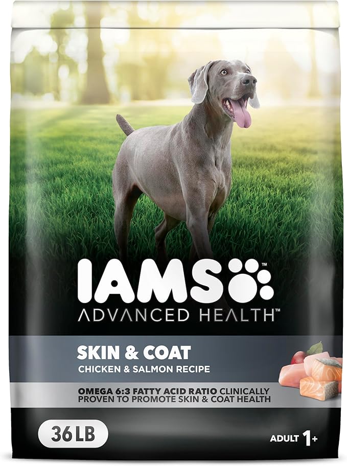 IAMS Advanced Health Skin & Coat Adult Dry Dog Food Chicken and Salmon Recipe, 36 lb. Bag