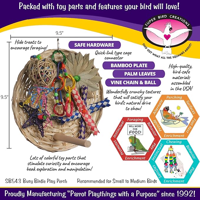 Super Bird Creations SB543 Busy Birdie Play Perch - Foraging Bird Toy, Small & Medium Bird Size - Parakeets, Cockatiels, Small Conures - Interactive Elements - Stimulating Playtime - 9.5" x 9.5" x 6"