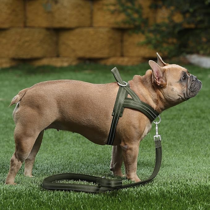 Plutus Pet No Pull Dog Harness with Breathable Mesh Padded, Adjustable Reflective Escape Proof Dog Harness, Quick Fit Dog Vest Harness for Small Medium Large Dogs(M, Ranger Green)