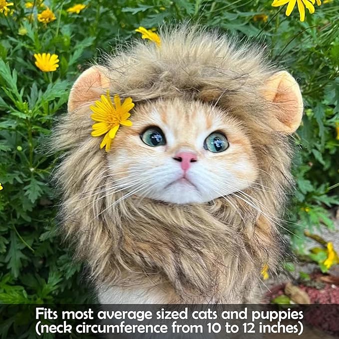 Cat Halloween Costumes - Lion Mane Wig for Cats & Puppies, Adjustable Pet Cosplay Apparel Kitten Outfits for Halloween Christmas Cat Birthday Party (Grey)