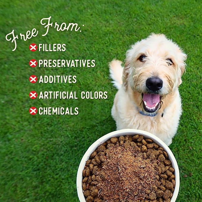 Beg & Barker Beef Dog Food Toppers (8 Ounce, Pack of 1) – 100% Made in USA Single Ingredient Meal Topper for Picky Eaters – Meal Enhancer with Whole Beef – Meal Mixers for Dogs, Human Grade