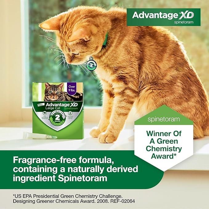 Advantage XD Large Cat Flea Prevention & Treatment For Cats over 9lbs. | 2-Topical Doses, 2-Months of Protection Per Dose