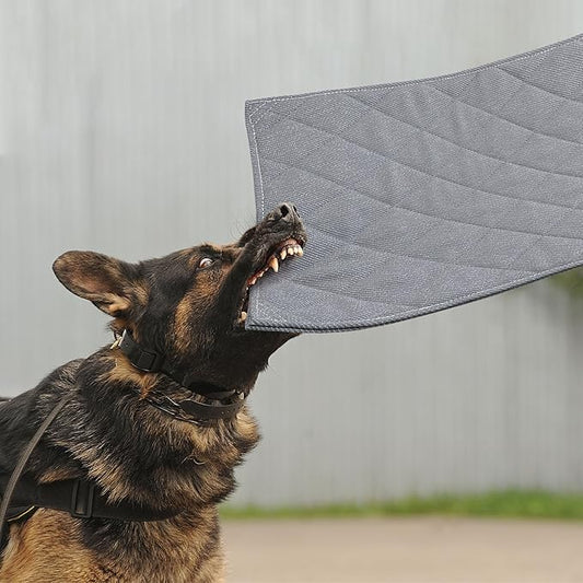 MABOZOO Indestructible Dog Bed, Chew Proof Crate Pad for Aggressive Chewers - Machine Washable Quilted Mat for Small Dogs - Durable Grey Kennel Pad (22x35 in)