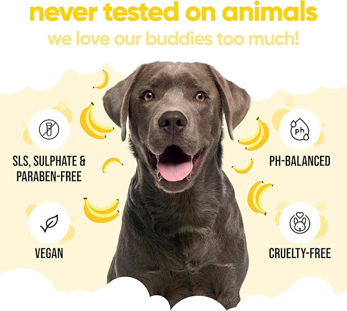 Banana Dog Shampoo & Conditioner by Buddycare | with Aloe Vera and Pro Vitamin B5 (50.72oz)