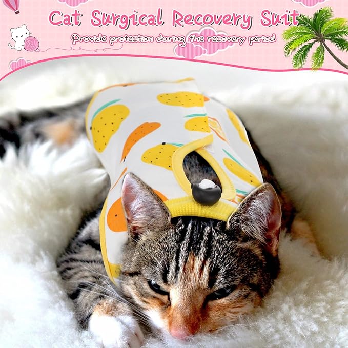 Nuanchu 3 Pieces Cat Recovery Suit Kitten Recovery Suit E-Collar Alternative for Cats and Dogs Abdominal Skin Anti Licking Pajama Clothes Sets(Fruit Pattern,Medium)
