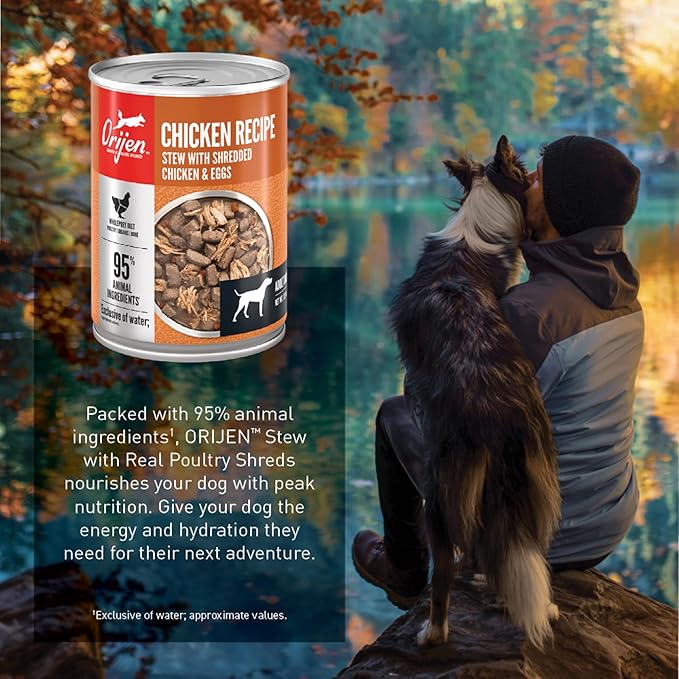 ORIJEN Real Meat Shreds, Grain-Free, Chicken Recipe Stew, Premium Wet Dog Food