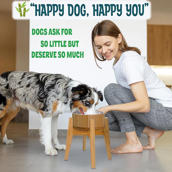 Raised Dog Bowl - Elevated 12-inch, Ideal for Large Breeds - Treats, Dry and Wet Foods Suitable - Deter Ants/Bugs, Tip-Over Resistant Stand - Steel and Bamboo