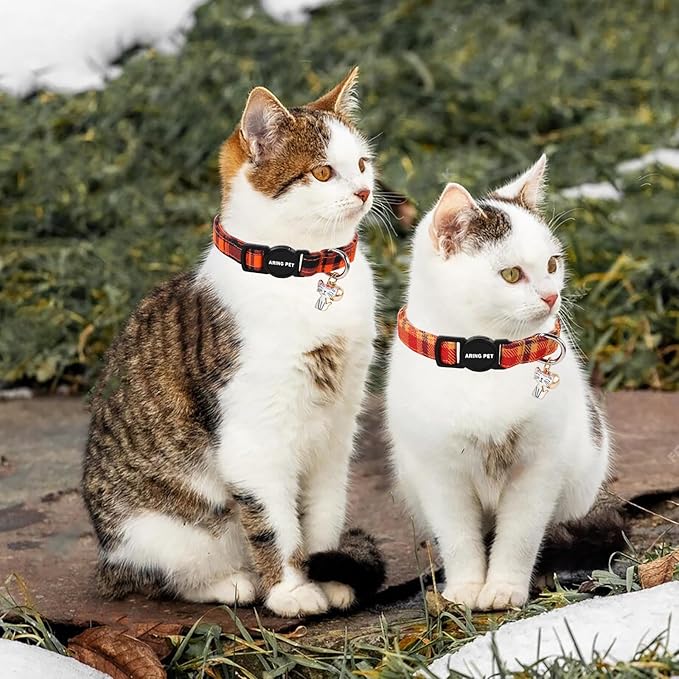 ARING PET 2 Pack Fall Cat Collars-Cute Breakaway Cat Collar with Bell & Pendant, Adjustable Halloween Plaid Kitten Collars with Safety Buckle for Girl and Boy Cats