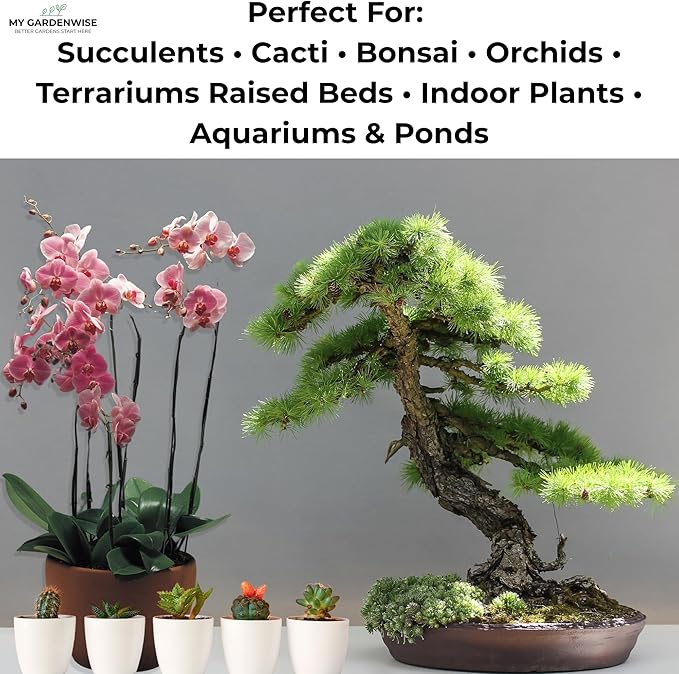 Lava Rocks for Plants (3/8’’ Minus), Natural Black Lava Rocks, Succulent & Terrarium Horticultural Volcanic Rock, Drainage for Potted Plants, Made in USA (1 qt - 2 lbs)