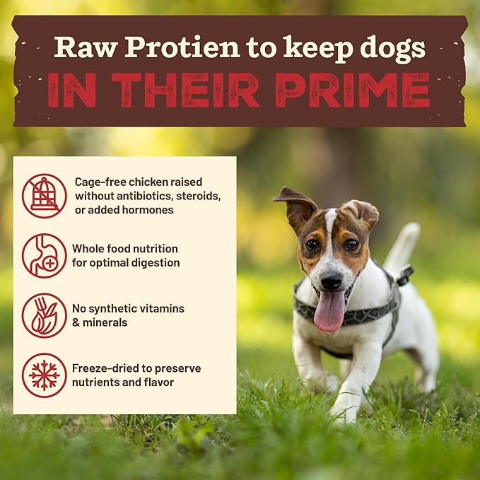 Primal Kibble in The Raw, Freeze Dried Dog Food, Small Breed Recipe, Scoop & Serve, Made with Raw Protein, Whole Ingredient Nutrition, Crafted in The USA, Dry Dog Food 1.5 lb Bag