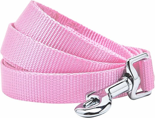 Blueberry Pet Essentials Fuchsia Pink Dog Leash for Medium - 5' * 3/4" Dogs | Heavy Duty Nylon Lead | Lightweight Puppy & Cat Leash for Walking & Training