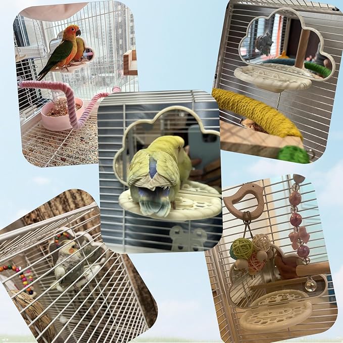 Bird Mirror with Perch & Slow Feeder – Interactive Bird Toy, Birds Cage Accessories for Parakeet, Budgies, Cockatiels, Conures, Lovebird, Finches & Canary – Relieve Boredom-Green