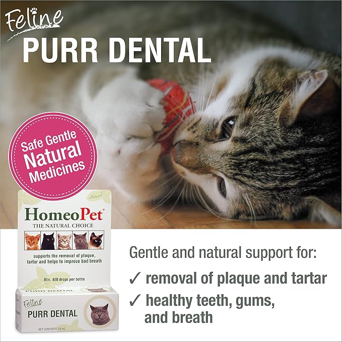 HomeoPet Feline Purr Dental, Safe and Natural Tooth and Dental Care for Cats, Cat Dental Care, 15 Milliliters