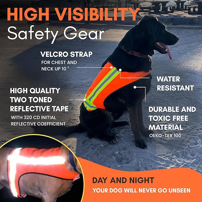 Reflective Dog Vest – Fluorescent Orange | High-Visibility, Water-Resistant Safety Jacket with Adjustable Fit for Day & Night Walks, Hiking, Hunting, and Outdoor Use (Small)