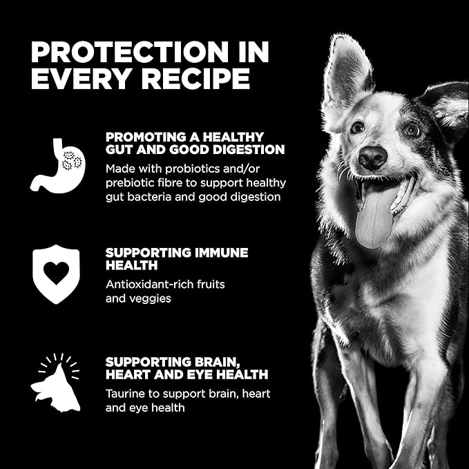 Go! Solutions Carnivore, Grain-Free, Protein Rich Dry Dog Food, Chicken, Turkey and Duck Puppy Recipe, Small Kibble, 3.5 lb Bag