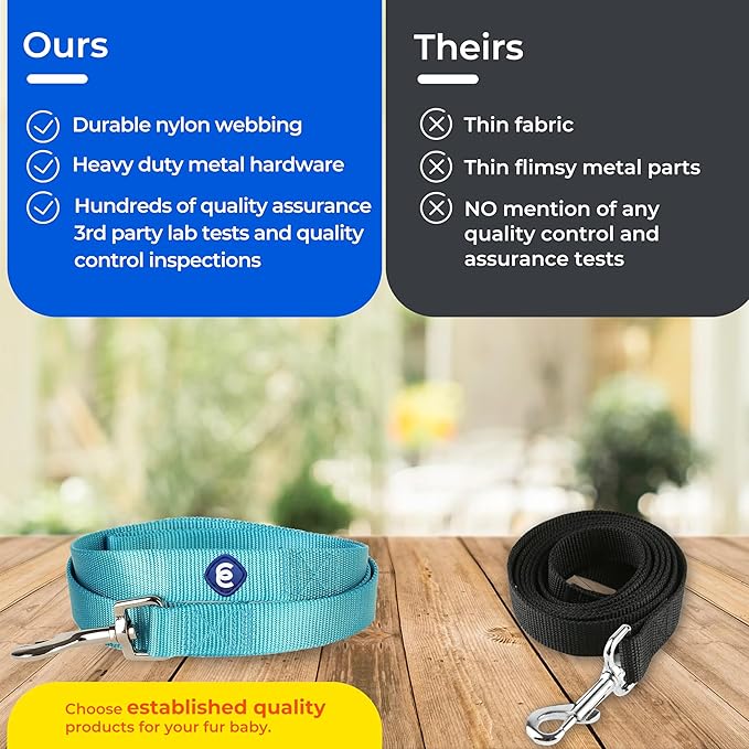 Blueberry Pet Essentials Very Berry Dog Leash for Large - 4' * 1" Dogs | Heavy Duty Nylon Lead | Lightweight Puppy & Cat Leash for Walking & Training