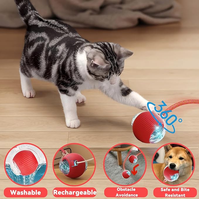 Interactive Cat Toys for Indoor Cats, Automatic Cat Toy with Elastic Mesh Tail, Electric Rolling Ball on Carpet, Chirping and Motion Activate Cat(Grey)