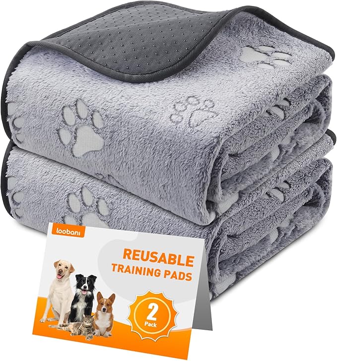 LOOBANI Washable Pee Pads for Dogs, Reusable Pee Pads for Dog Mat Puppy Pads Training Pads Non Slip Whelping Pad for Dog Playpen, Crate, Car, Grey 2 Pack 36 x 36 in