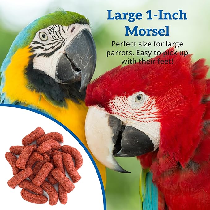 Scenic Apple Jungle Premium Parrot Food - Apple, Natural Flavors, High Protein, Low Iron Bird Pellets for Large Parrots, Macaw Food, Cockatoo & African Grey Parrots, Omega 3, Vitamins, Minerals, 1 LB
