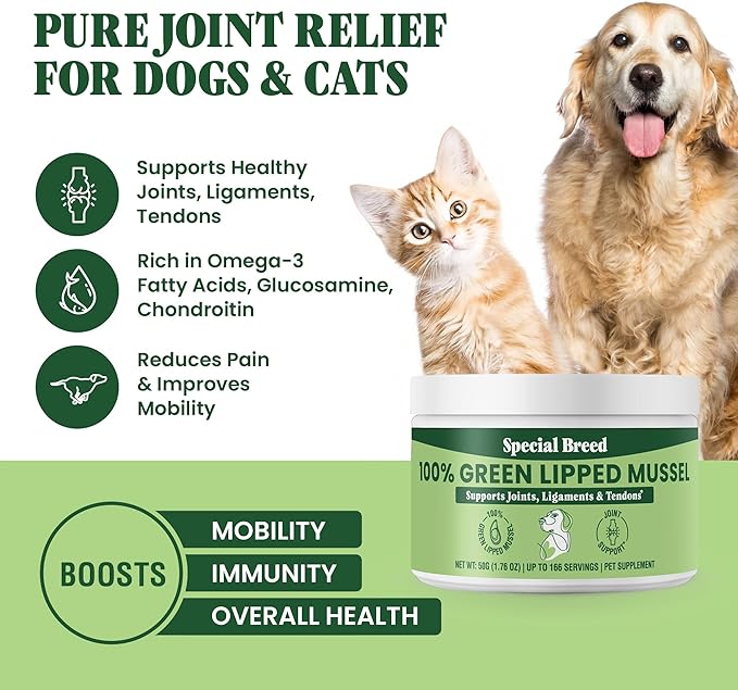 Green Lipped Mussel Powder for Dogs & Cats - 100% New Zealand Green Lipped Mussels - Natural Hip & Joint Supplement for Joints, Tendons, Ligaments, Muscles - 50 Grams - Up to 166 Servings