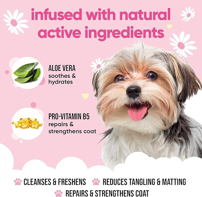 Baby Fresh Dog Shampoo by Buddycare | Deep Cleansing Shampoo for Dogs | Fresh Scented | with Aloe Vera and Pro Vitamin B5 (169.07oz)