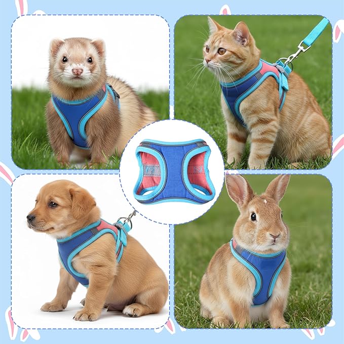 Adjustable Bunny Harness and Leash Set, Double Buckles Breathable Mesh Rabbit Vest with Reflective Strips, Escape Proof Small Pet Walking Training Gear for Rabbits, Kittens, Ferrets, Guinea Pigs (M)