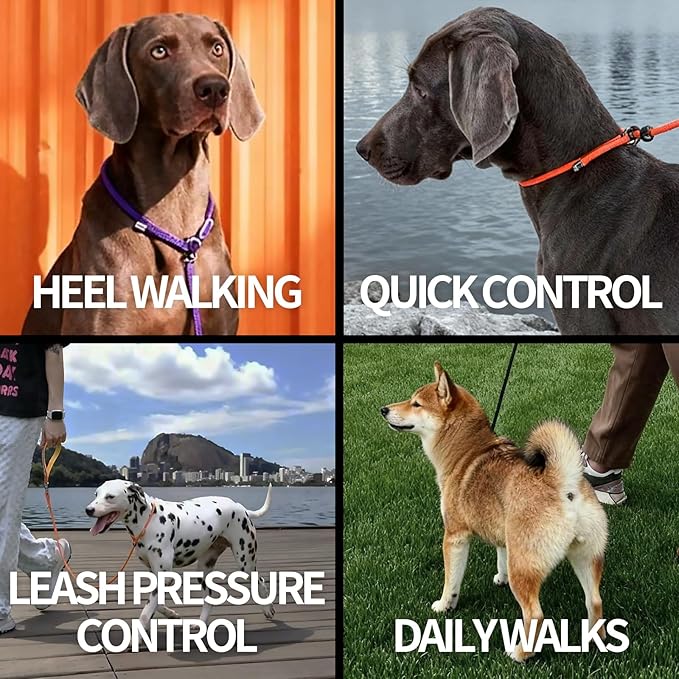 Dog Anti-Slip Leash 5FT with Metal Stopper - Durable No-Pull Training Lead for Small, Medium & Large Dogs - Comfortable Handle Nylon Rope, Tangle-Free Pet Walking Leash (Lake Blue, 5.6FT)