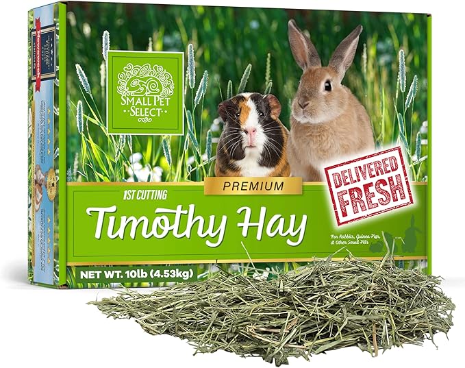 Small Pet Select 1st Cut Timothy Hay Pet Food for Rabbits, Guinea Pigs, and Other Small Animals, Easy to Store Box, 10 LB