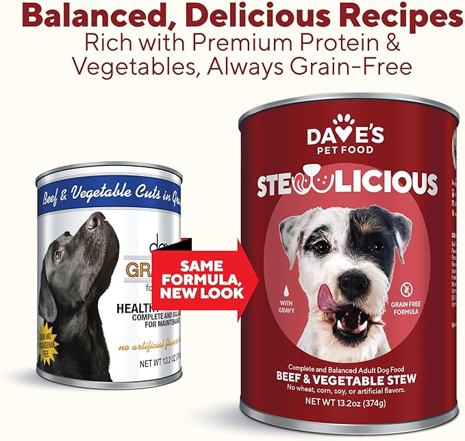 Dave's Pet Food Stewlicious Grain Free Wet Dog Food (Beef & Vegetable in Gravy), Made in USA Naturally Healthy Canned Gluten Free Dog Topper, 13.2 oz (12 Pack)