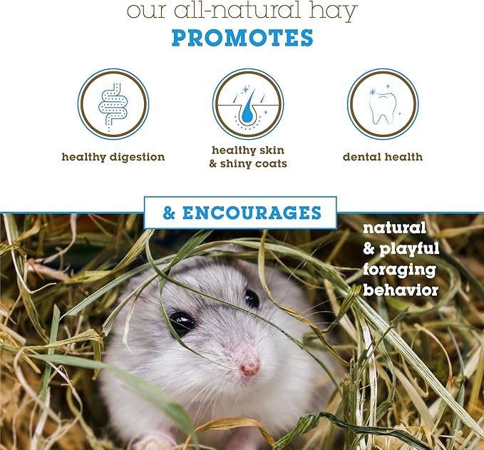 Bunny Honey Timothy Hay for Adult Rabbits, Guinea Pigs & Small Pets High-Fiber, Supports Digestive Health & Dental Care, Non-Blended & Fresh Cut