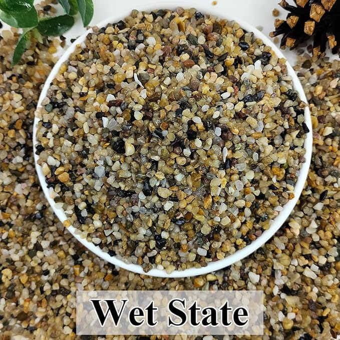 10lbs Aquarium Gravel, 1/8"(2-4mm) Natural River Rocks Succulent Cactus Pea Gravel for Plants, Fish Tank, Decorative Pebbles for Gardening, Flower Pots, Vase Fillers, Landscaping
