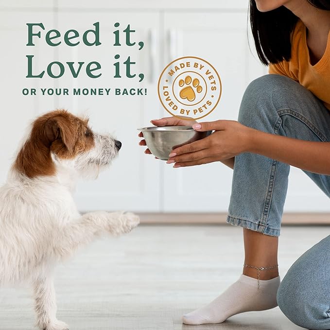 The Missing Link Hip & Joint + Probiotics Supplement 1lb Bag - Superfood Powder for Dog Cartilage & Bone Health, Joint Mobility & Flexibility