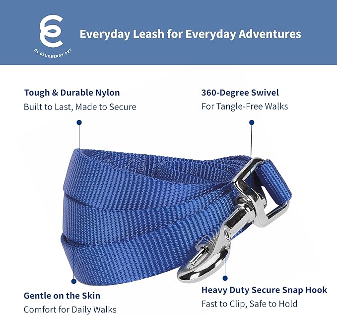 Blueberry Pet Essentials Marina Blue Dog Leash for Large - 4' * 1" Dogs | Heavy Duty Nylon Lead | Lightweight Puppy & Cat Leash for Walking & Training