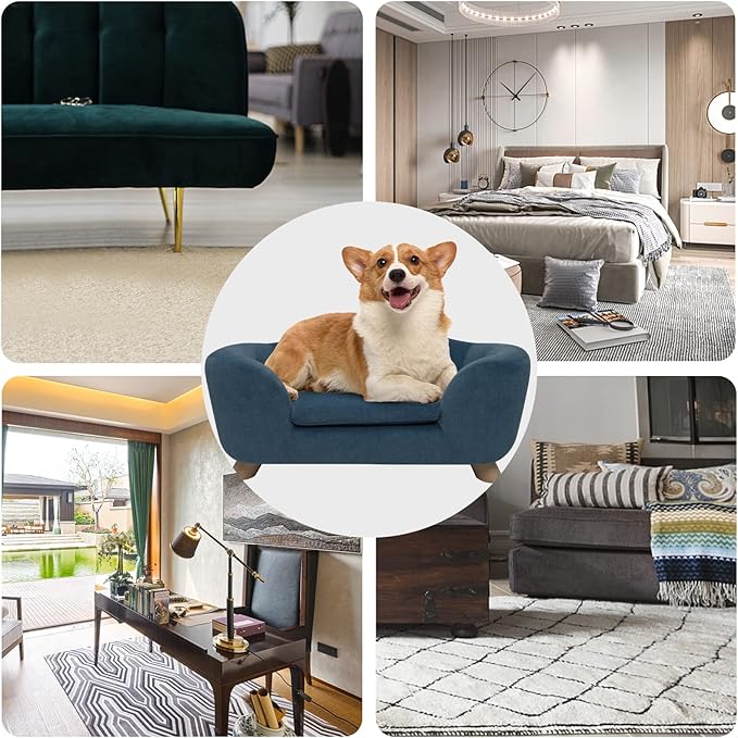 SHAVI Pet Sofa Dog Couch for Small Pet Dog and Cats, Low Back Lounging Bed with Velvet Modern Cat Couch Easy-to-Clean(Blue)