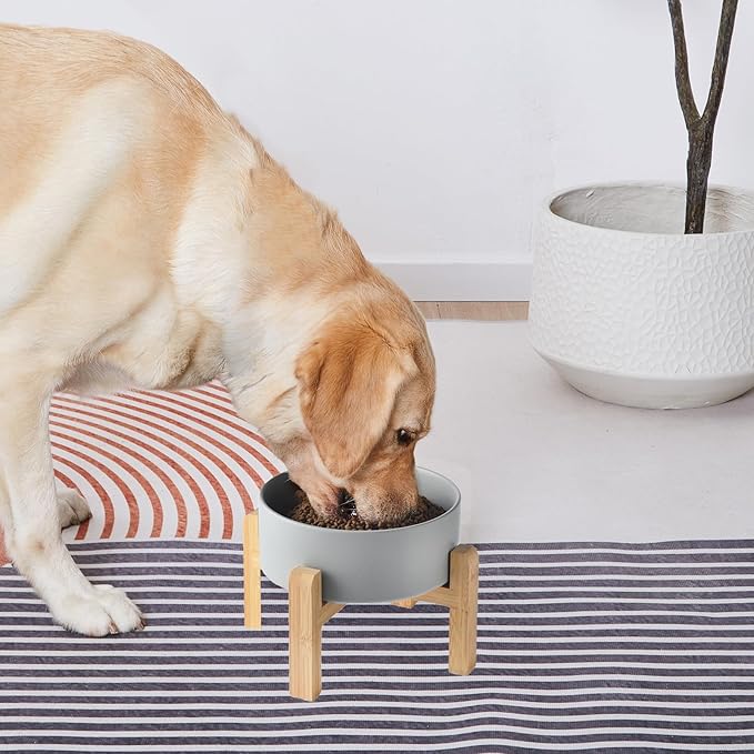 6'' Ceramic Raised Dog Bowl - 30Oz Dog Food & Water Bowl with Elevated Non-Slip Bamboo Stand, Dishwasher & Microwave Safe, Anti Vomiting Heavy Duty Pet Bowl for Small and Medium Dogs, Grey