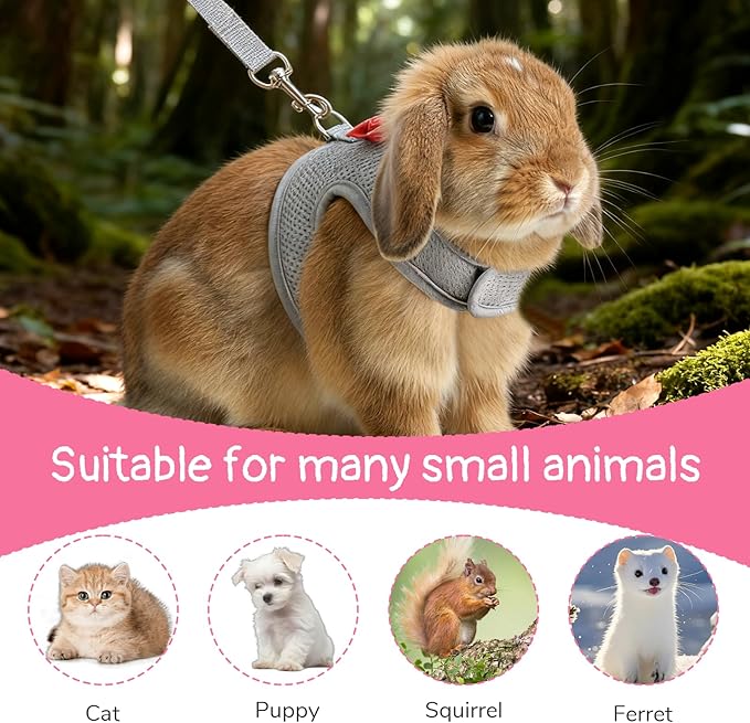 Bunny Harness and Leash Set, Cute Bow Rabbit Vest Soft Breathable Mesh Rabbit Leash and Harness Set Escape Proof Walking Gear for Rabbits, Ferrets, Kittens, Guinea Pigs, Grey M