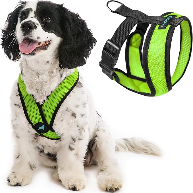 Gooby Comfort X Head In Harness - Green, Medium - No Pull Small Dog Harness Patented Choke-Free X Frame - Perfect on the Go Dog Harness for Medium Dogs No Pull or Small Dogs for Indoor and Outdoor Use