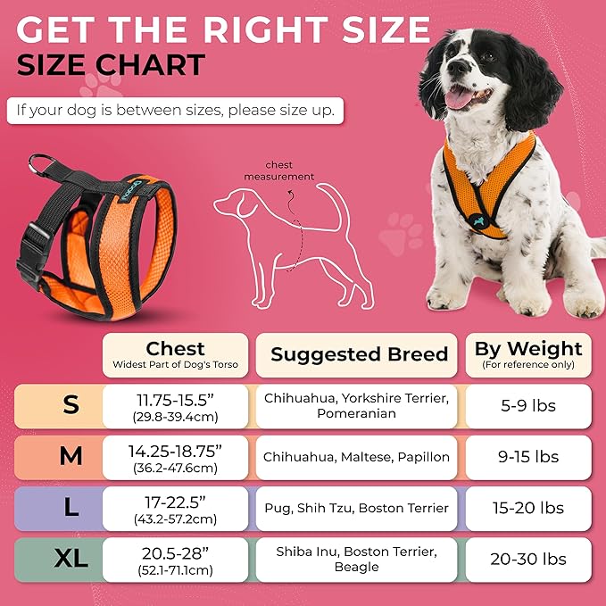 Gooby Orange X-Large Comfort X Head in Harness - No Pull, Choke-Free, Lightweight Mesh, Machine Washable for Small to Medium Dogs