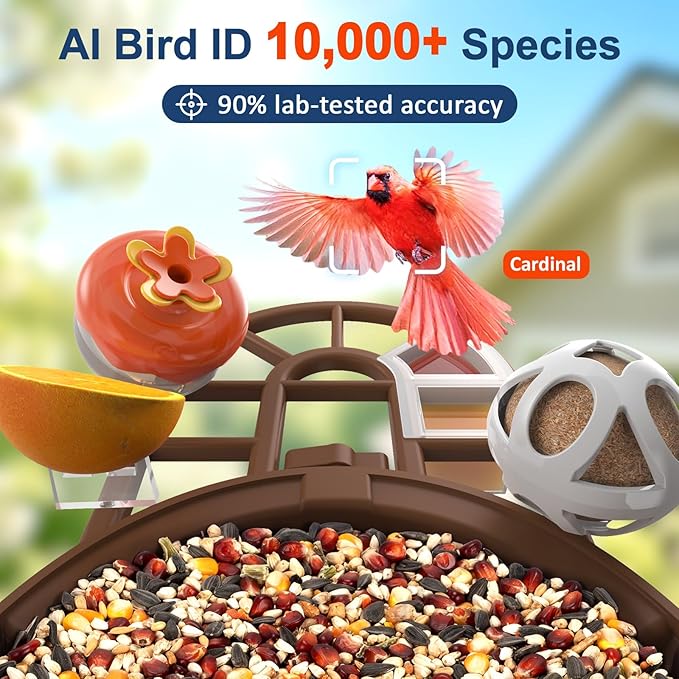 PeckCam® Bird Feeder with Camera with AI Identify 10000+ Birds Species, 3 Solar Panels, 2K Live View, Instant Arrival Alerts, Smart Bird House with Cam, Gift for Bird Lovers