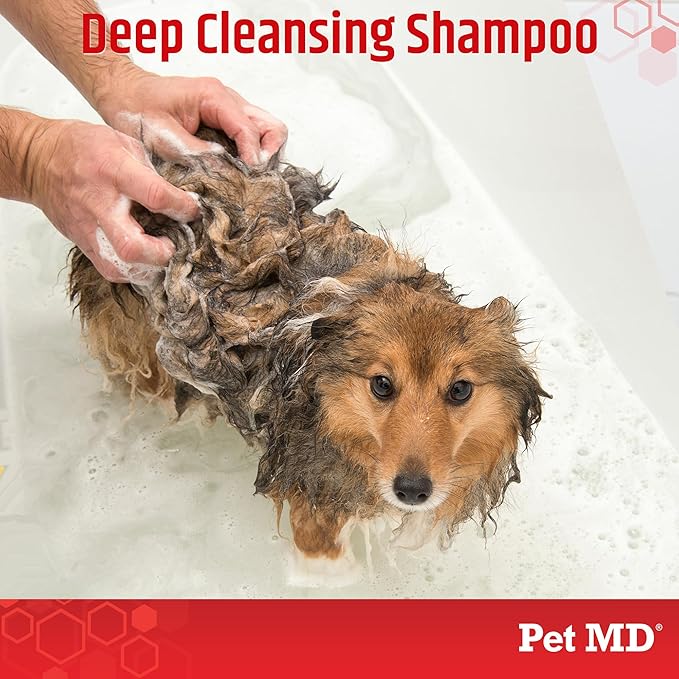 Pet MD Topical Shampoo for Dogs, Cats and Horses - Soap and Paraben Free - 16oz