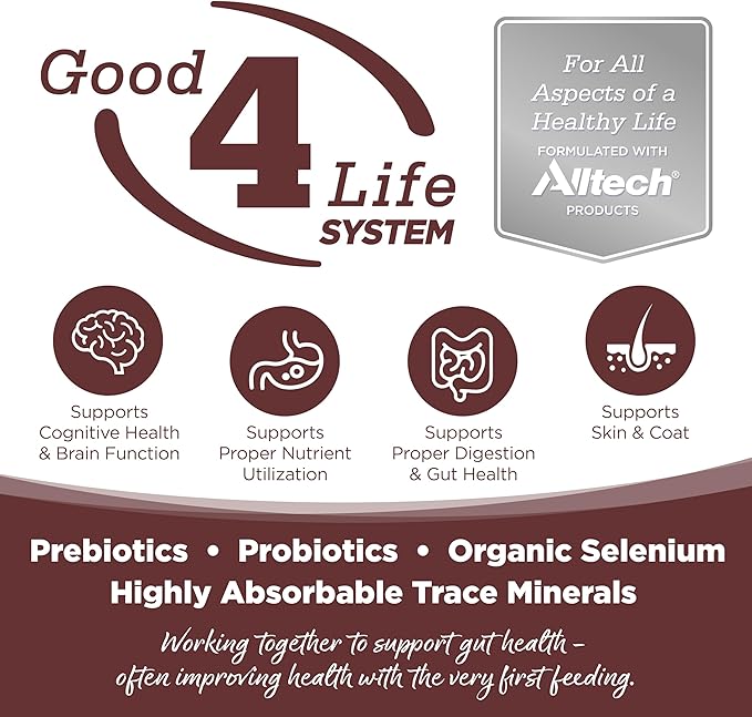 NutriSource Grain Free Prairie Select Recipe Dog Food, Premium Wet Dog Food, 12.3 Ounce (Pack of 12)