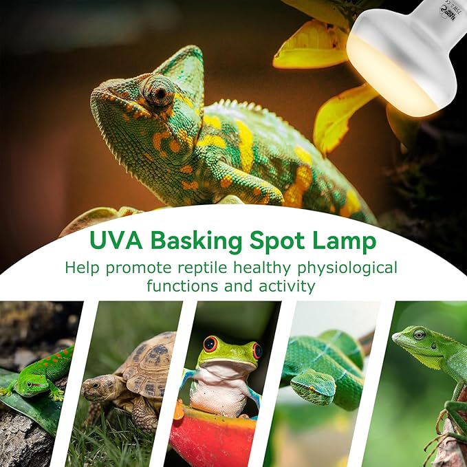 LUCKY HERP Intense Heat Lamp Bulbs for Reptiles 75W 2 Pack, UVA Daylight Reptile Heat Lamp, Reptile Basking Heat Light Bulb for Amphibian, Tortoise, Bearded Dragon, Lizard, Turtle, Snake Heating Use