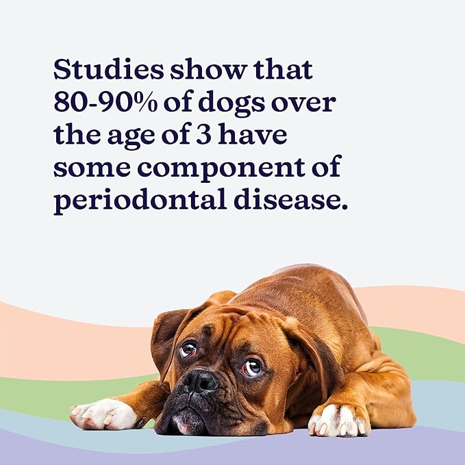 ROSEY'S PUPPY FRESH BREATH - Dog Water Additive for Dental Care - Maintains Fresh Breath & Clean Teeth for Dogs - Dog Breath Freshener for Promoting Healthy Gums & Fights Plaque Buildup - 8 Oz