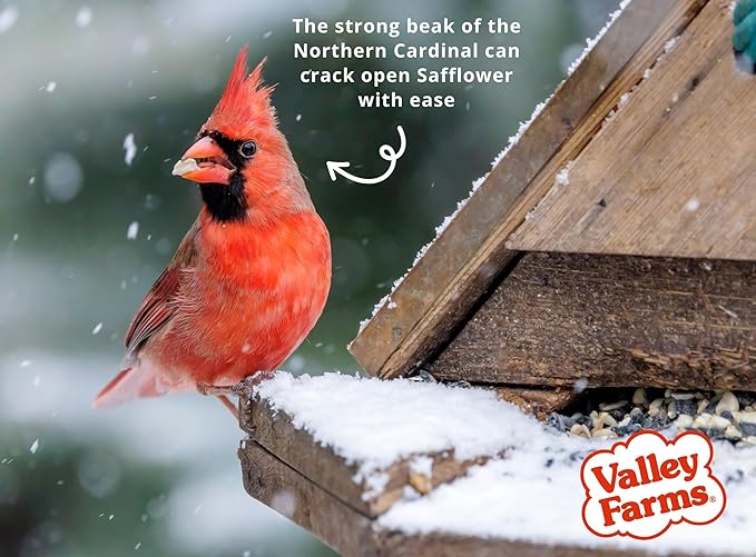 Valley Farms Fruit Nut & Berry Wild Bird Food for Outside Feeders, Bird Seed with Dried Fruit, Peanuts, Sunflower, and Safflower, High Energy Mix for Healthy Birds! (15 LBS)