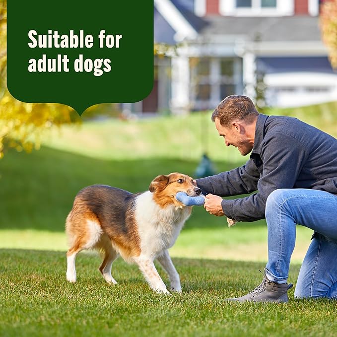 Nutrish Grain Free Real Chicken & Apple Recipe Premium Paté Wet Dog Food, 13 oz. Can, 12 Count, Packaging May Vary (Rachael Ray)